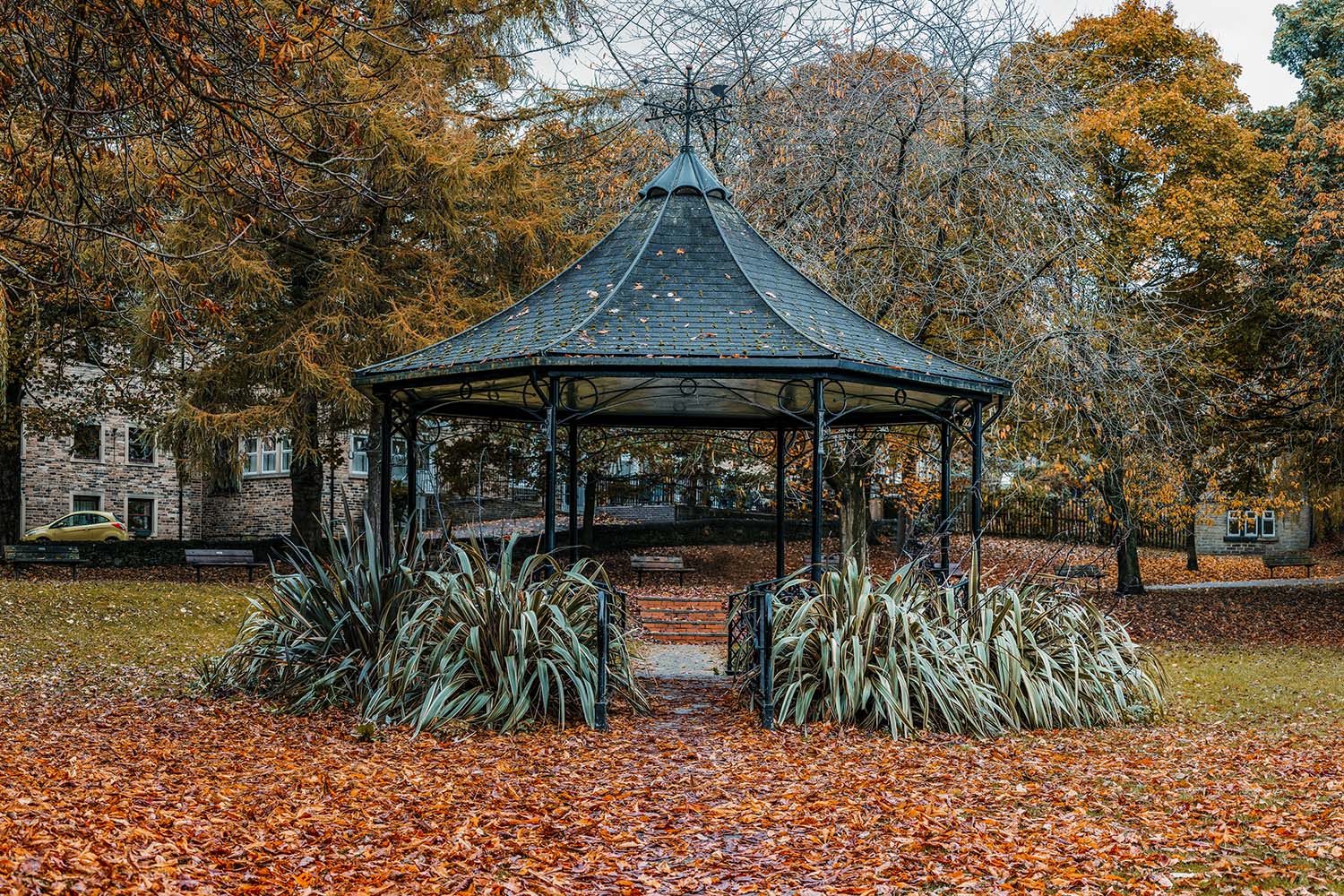 Bands in the park
